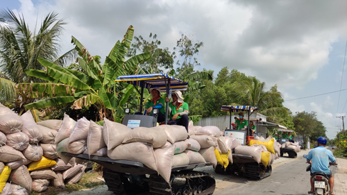 Ngành gạo bị áp lực chi phí - Ảnh 1.