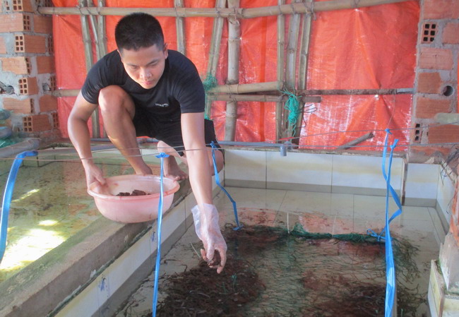 Cử nhân về quê Bình Định nuôi lươn không bùn dày đặc trong bể xi măng, ai đến xem cũng phục lăn - Ảnh 1.