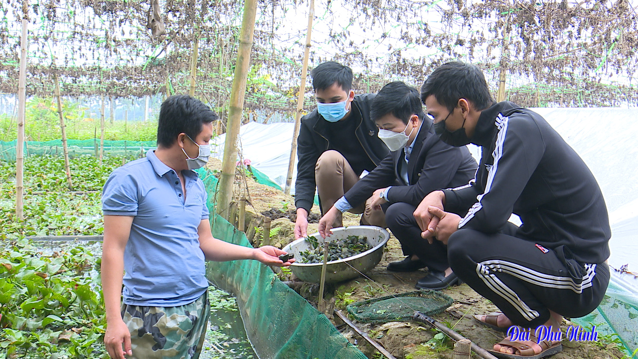 Đào ao nuôi loại ốc đặc sản dày đặc, bắt lên vô số, người ta kéo đến vùng này của Phú Thọ để xem - Ảnh 2.