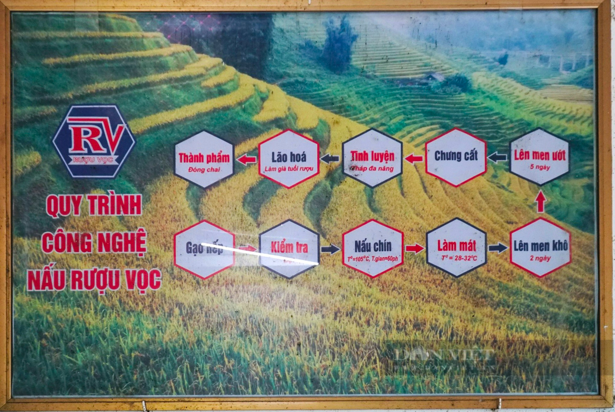 Rượu Vọc - sản phẩm OCOP tại Hà Nam đi lên từ làng nghề - Ảnh 5.