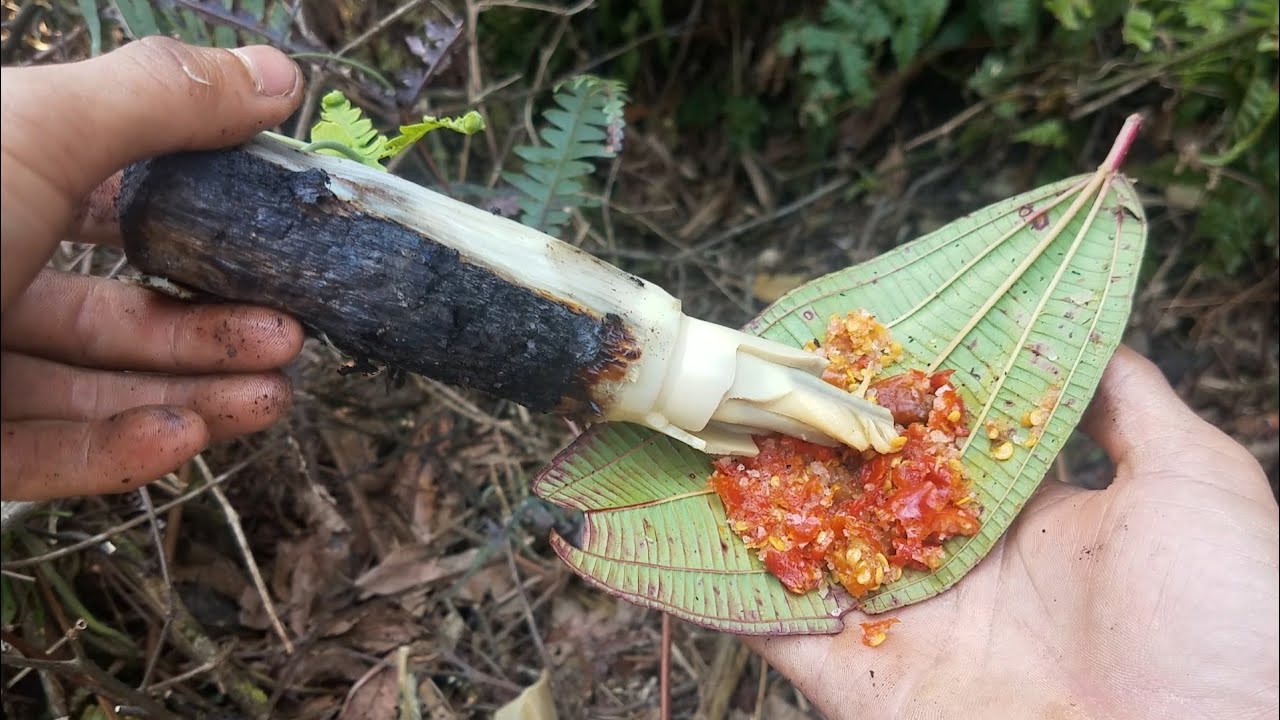 Loại rau rừng mọc hoang trước chẳng ai ngó ngàng tới nay được săn lùng từng tí một để làm vô số đặc sản - Ảnh 6.