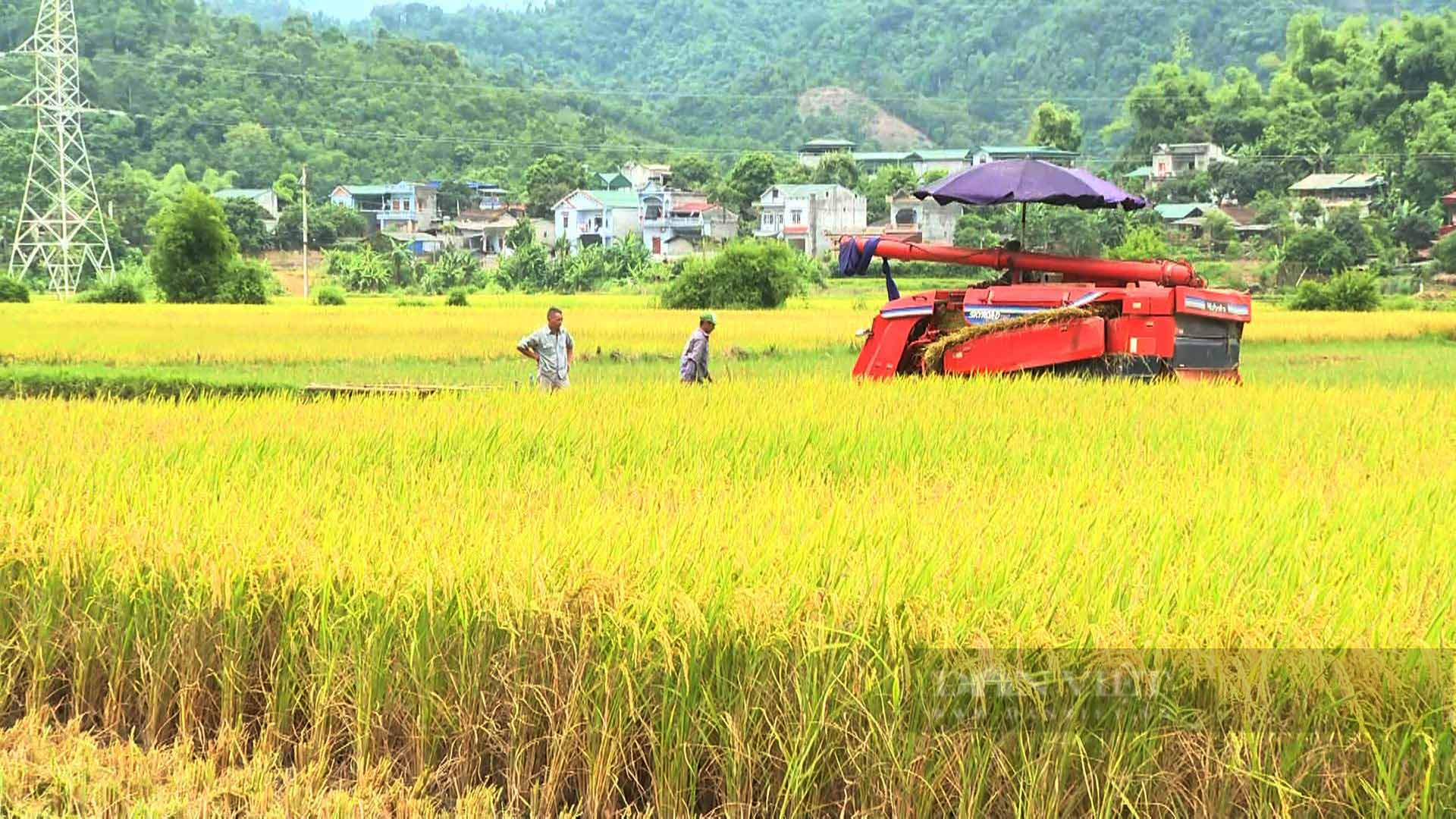 Nông nghiệp Bắc Kạn hướng đến sản phẩm xuất khẩu  - Ảnh 4.