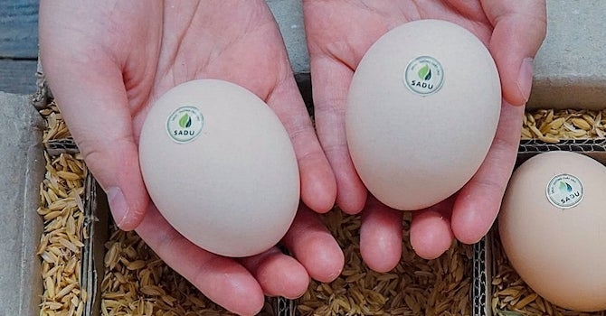 Startup Việt bán 2 triệu quả trứng gà cho giới thượng lưu - Ảnh 2.