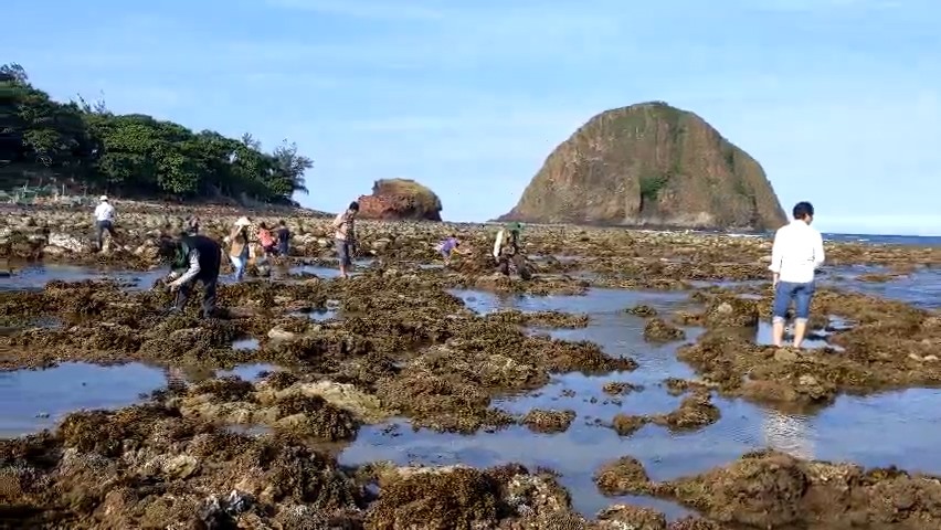 Giẫm đạp phá hỏng san hô tại danh thắng quốc gia này ở Phú Yên chia sẻ rầm rộ trên mạng khiến dân bức xúc - Ảnh 1.