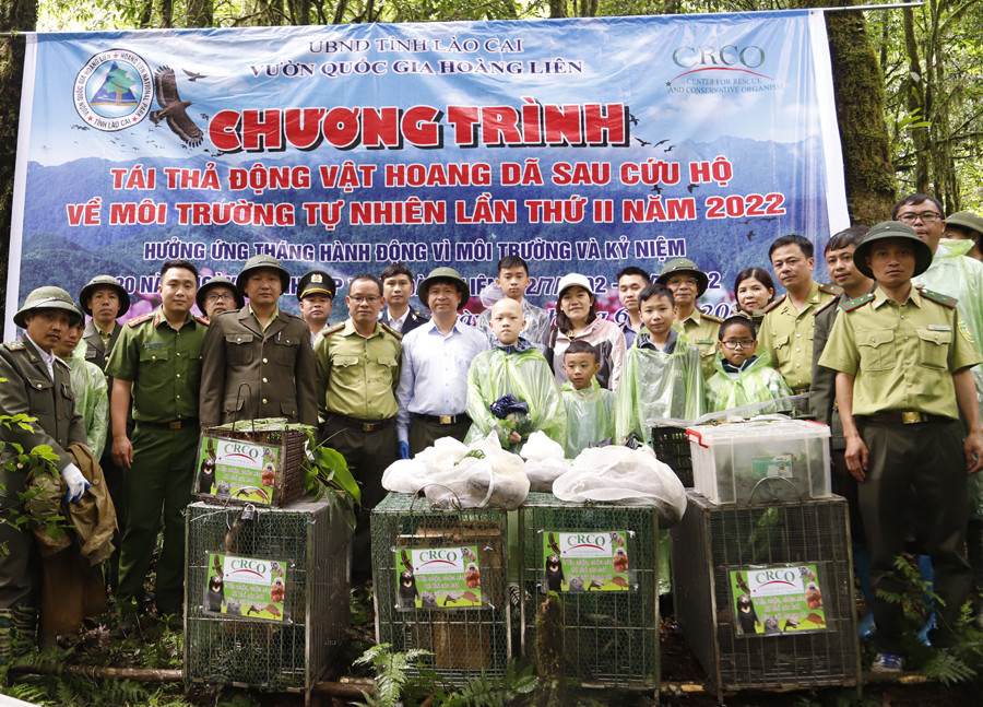 Lào Cai: Tái thả 20 cá thể động vật hoang dã về tự nhiên sau cứu hộ - Ảnh 1.