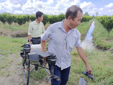 Máy bay không người lái lượn xịt thuốc cho vườn cam sành ở Vĩnh Long chỉ mất 5 phút, ai cũng trầm trồ - Ảnh 2.