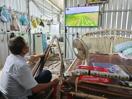 Máy bay không người lái lượn xịt thuốc cho vườn cam sành ở Vĩnh Long chỉ mất 5 phút, ai cũng trầm trồ - Ảnh 1.