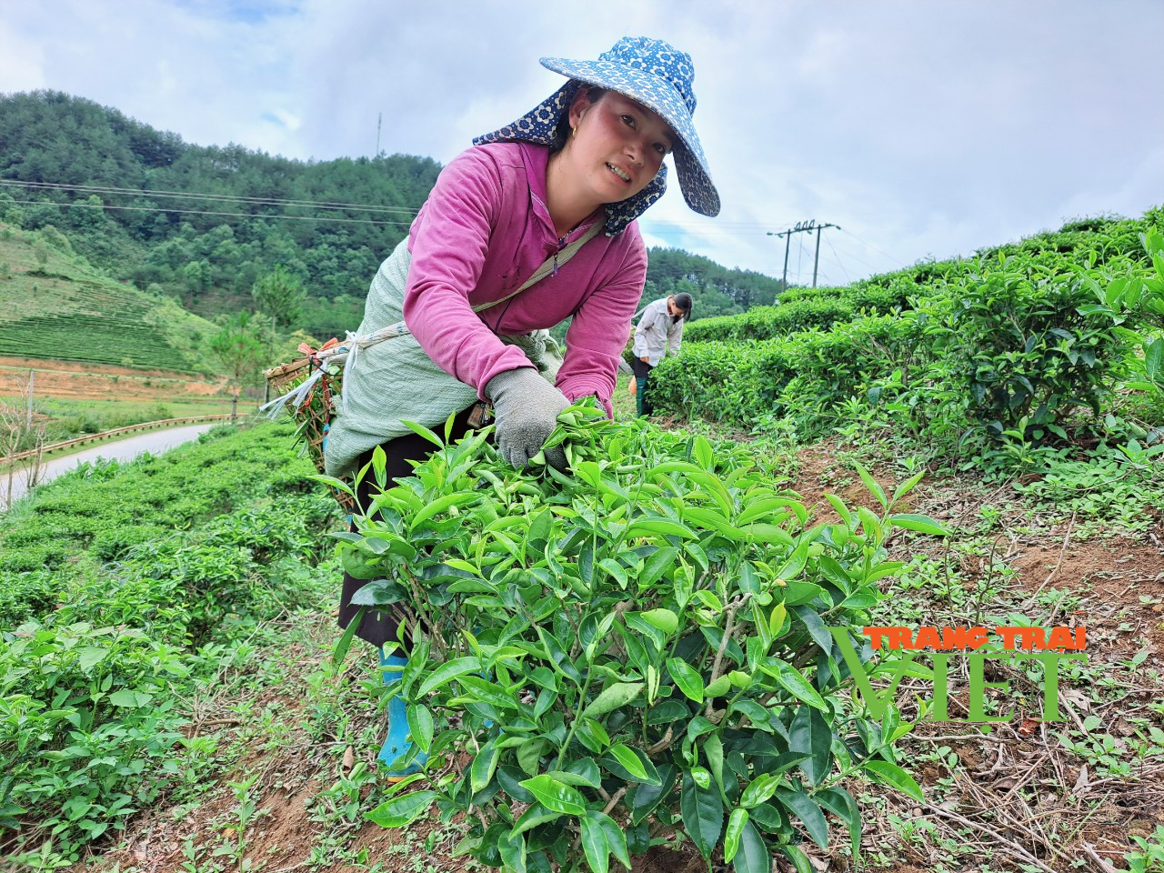 Lai Châu: Đẩy mạnh thu hút đầu tư - Ảnh 3.