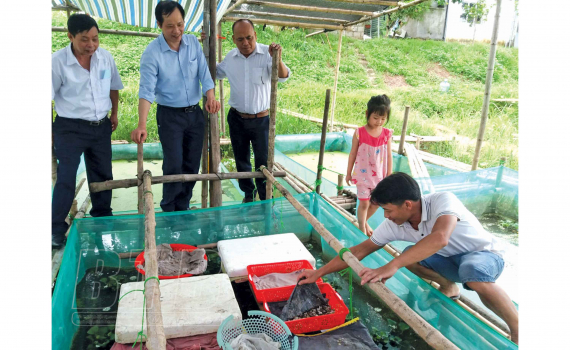 Nuôi con đặc sản chả bao giờ ăn cám công nghiệp, anh nông dân Thái Bình thu gần 1 tỷ đồng ở khu ruộng xấu - Ảnh 1.