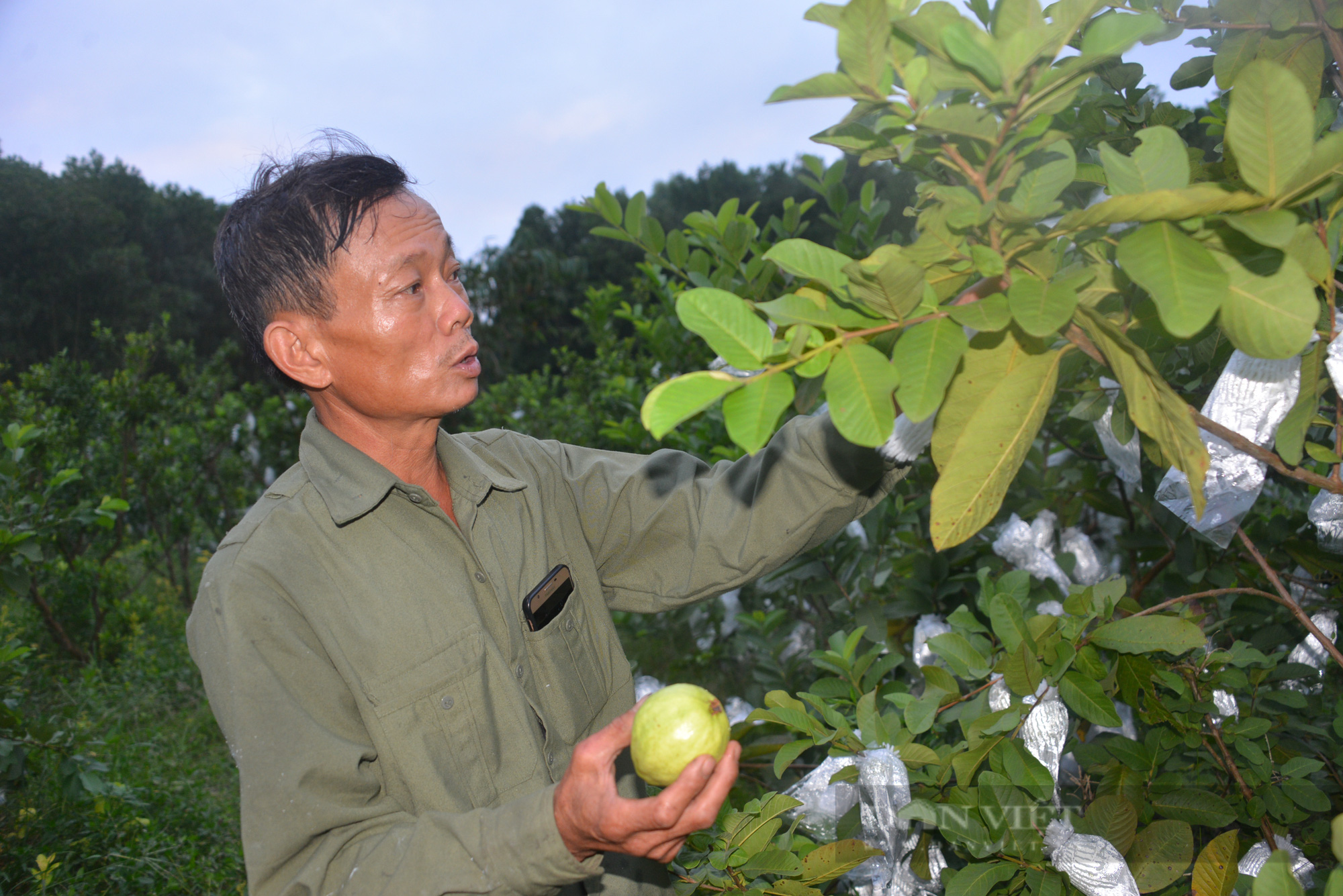 Quảng Ninh: Để nông dân gần hơn với vốn vay của ngân hàng nông nghiệp - Ảnh 1.