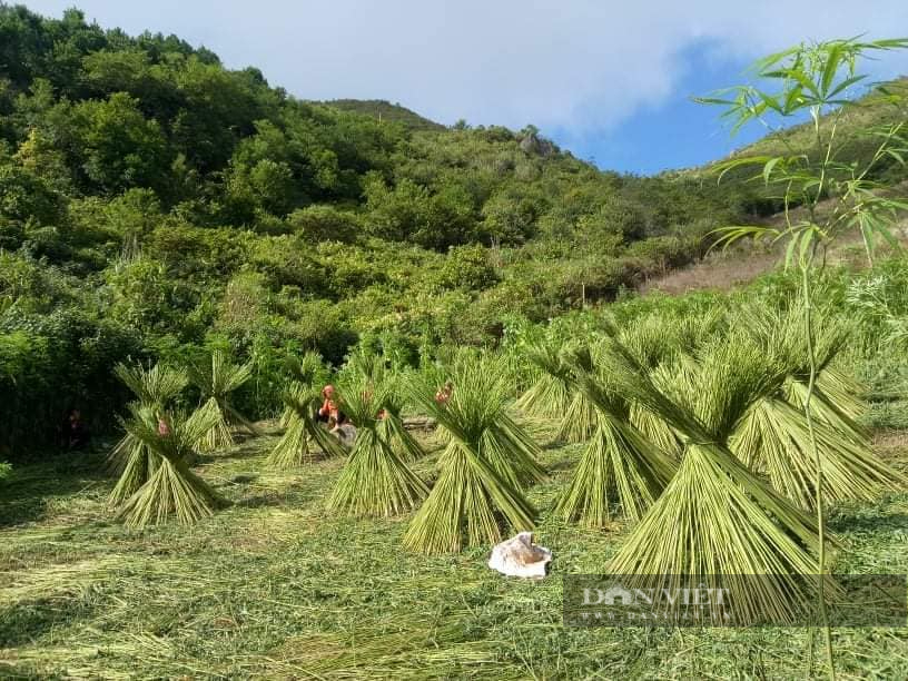 Gìn giữ nghề thêu thổ cẩm Mông Hoa ở vùng cao Bắc Yên (Sơn La) - Ảnh 2.