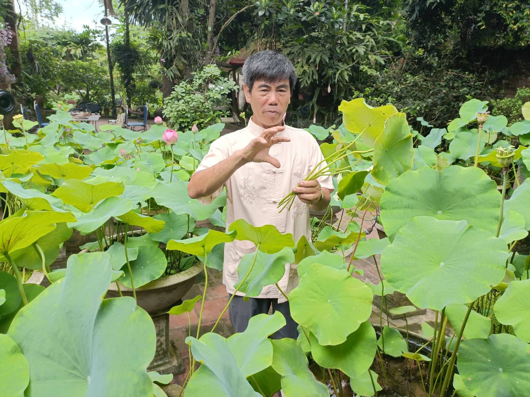 Độc nhất vô nhị: Sắc sen Cung đình bên “đệ nhất đại danh lam” ở Thủ đô khiến ai đi qua cũng phải trầm trồ - Ảnh 16.