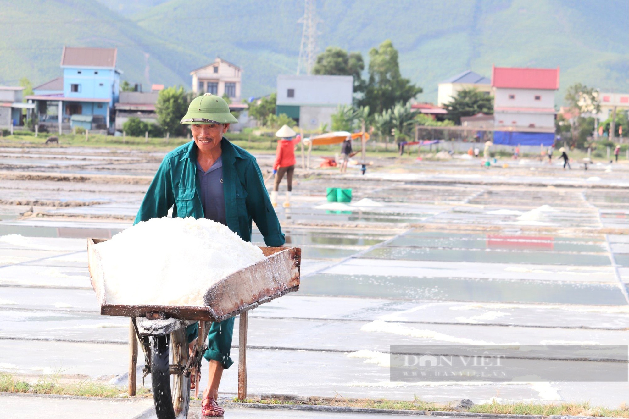 Ảnh: Người dân Quảng Bình thu hoạch &quot;lộc biển&quot; dưới cái nắng gần 40 độ C - Ảnh 2.