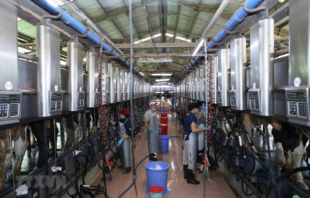   Nhiều dư địa để tiếp tục phát triển ngành hàng sữa - Ảnh 1.