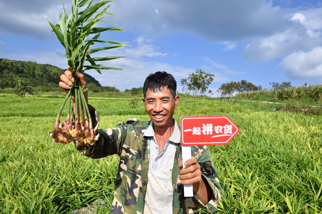 Trung Quốc đang nổi lên như một nhà lãnh đạo toàn cầu trong việc phát triển các hệ thống thực phẩm nông nghiệp bền vững kết hợp với công nghệ phát Livestream trực tiếp. Ảnh: @AFP.