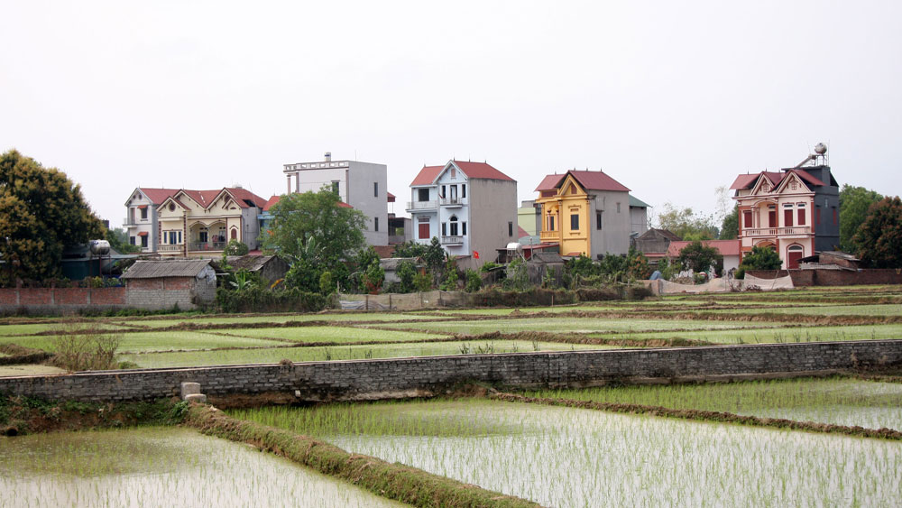 Làng biệt thự toàn nhà giàu ở Bắc Giang, dân chỉ làm 2 nghề, cai thầu xây dựng hoặc đi buôn cá - Ảnh 1.