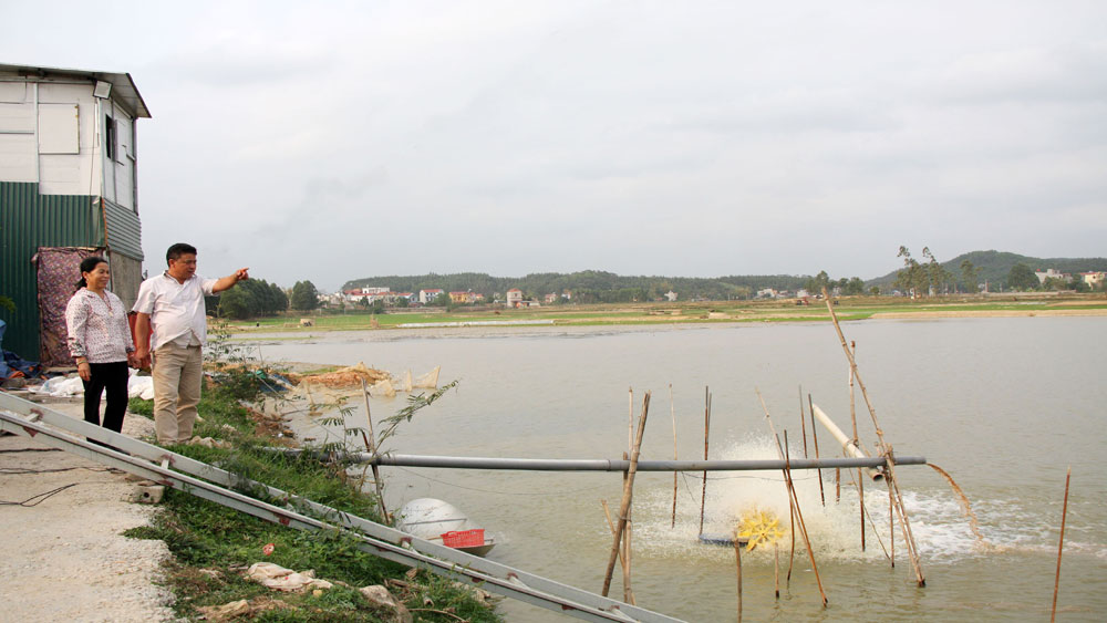Làng biệt thự toàn nhà giàu ở Bắc Giang, dân chỉ làm 2 nghề, cai thầu xây dựng hoặc đi buôn cá - Ảnh 5.