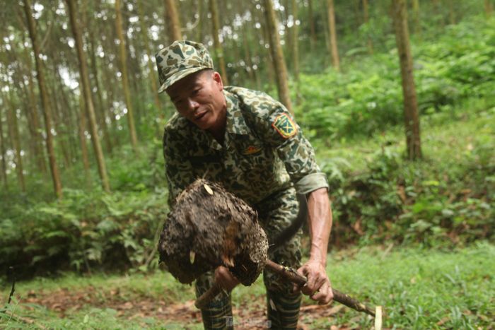 Thợ săn trứng kiến - Ảnh 7.