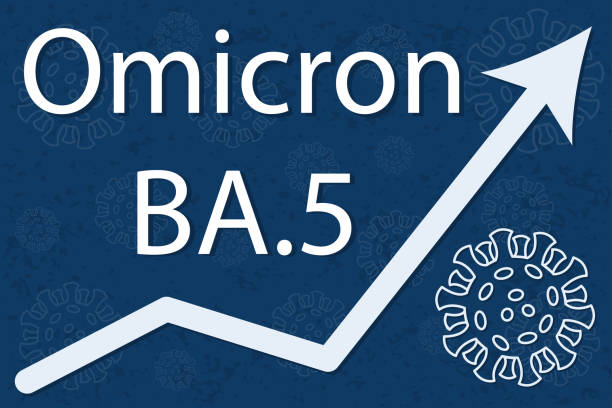 Biến thể BA.5 đang xâm nhập vào nước ta nguy hiểm đến mức nào? - Ảnh 1.