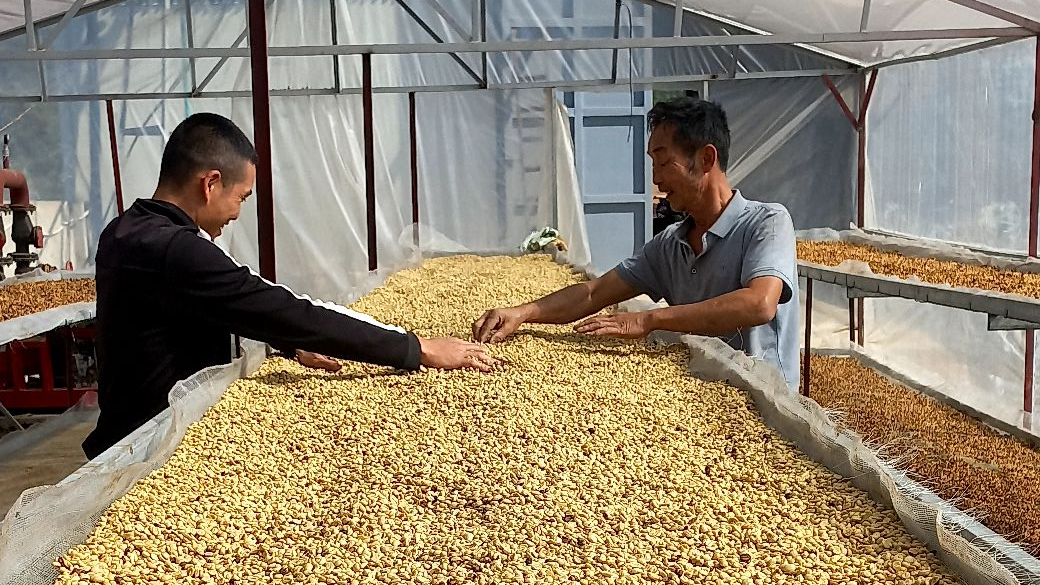 Lão nông Sơn La: Làm giàu nhờ sự nhạy bén trong tư duy sản xuất - Ảnh 2.