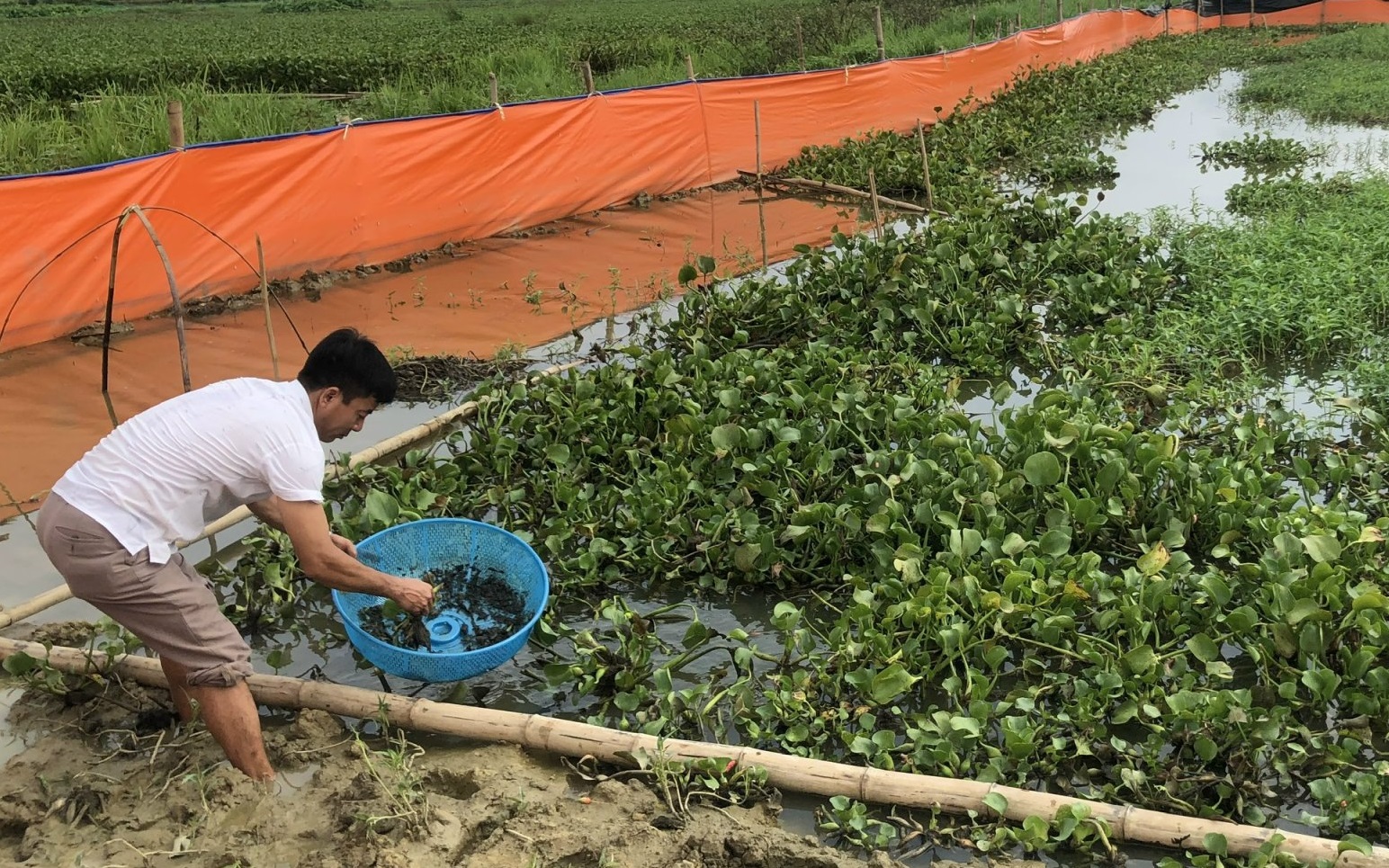 Hệ Thống Hộp Nuôi Cua Lột