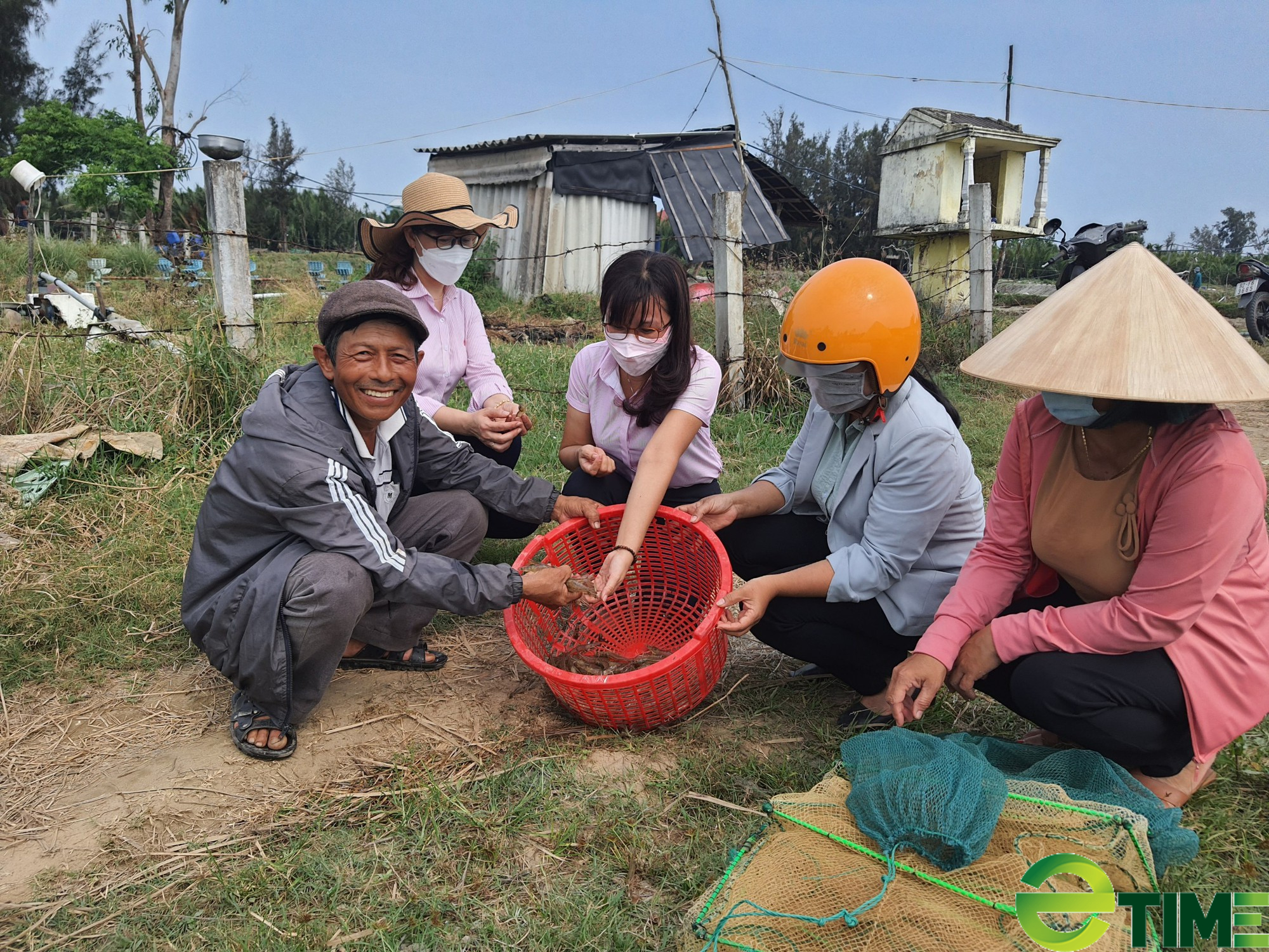 Quảng Nam: Có vốn ưu đãi tiếp sức, nông dân Hội An khấm khá nhờ nuôi tôm  - Ảnh 1.