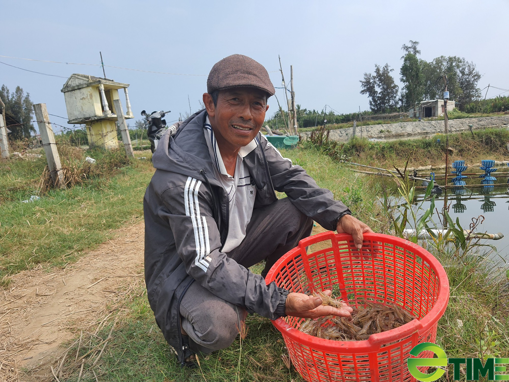 Quảng Nam: Có vốn ưu đãi tiếp sức, nông dân Hội An khấm khá nhờ nuôi tôm  - Ảnh 2.
