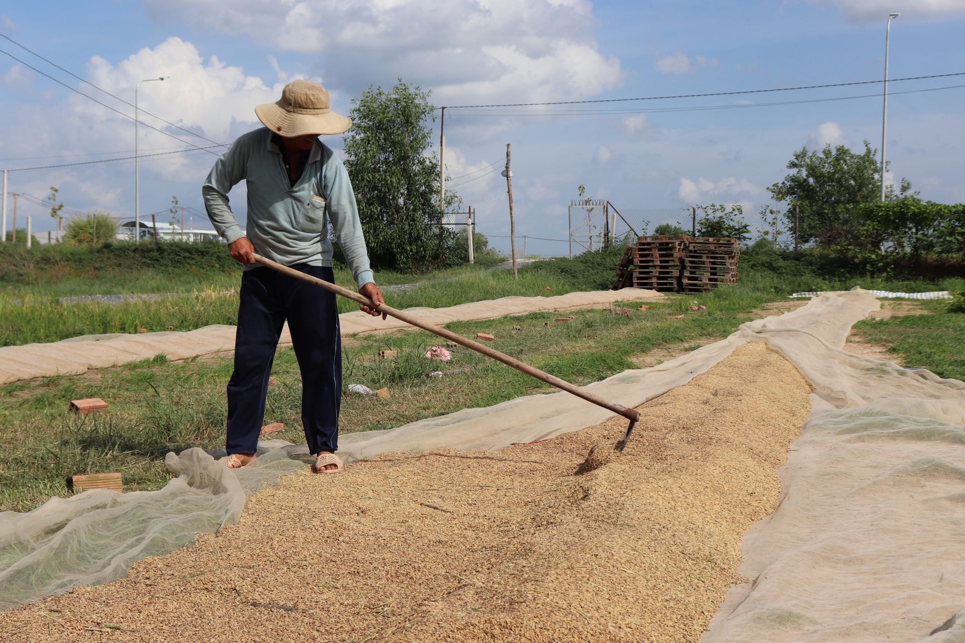 Sáng chế băng tải vận chuyển lúa vượt cả sông, ông nông dân Tây Ninh khiến cả làng ai cũng khen - Ảnh 1.