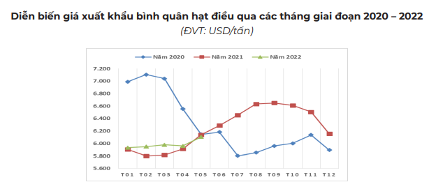 Giá xuất khẩu bình quân hạt điều của Việt Nam đang đạt mức cao nhất, tính từ đầu năm  - Ảnh 3.