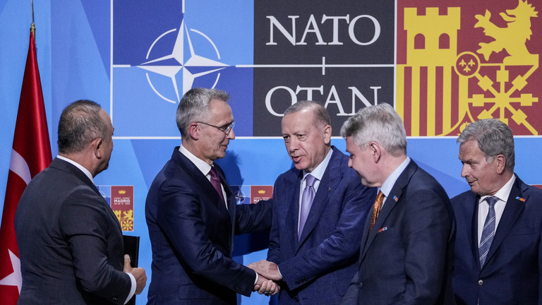 Thổ Nhĩ Kỳ đạt được thỏa thuận NATO với Phần Lan và Thụy Điển - Ảnh 1.