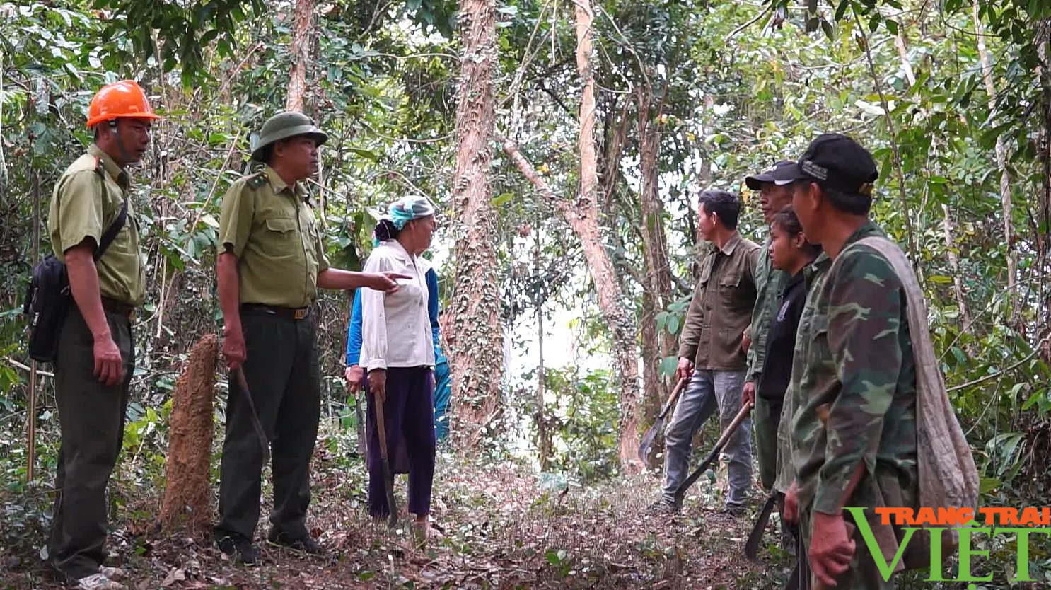 Nậm Nhùn để những cánh rừng bình yên - Ảnh 1.