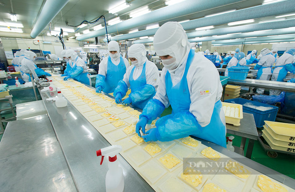 xuất khẩu lao động Đài Loan