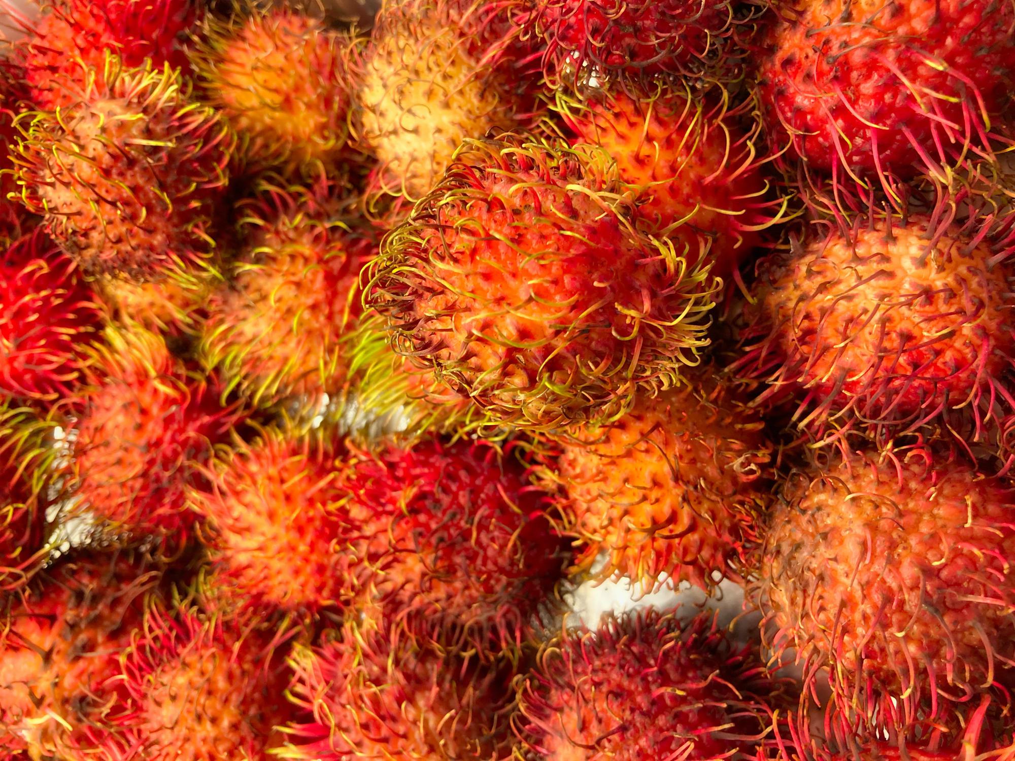 Rambutan: The ability to improve sperm quality, help lose weight and prevent heart disease of 