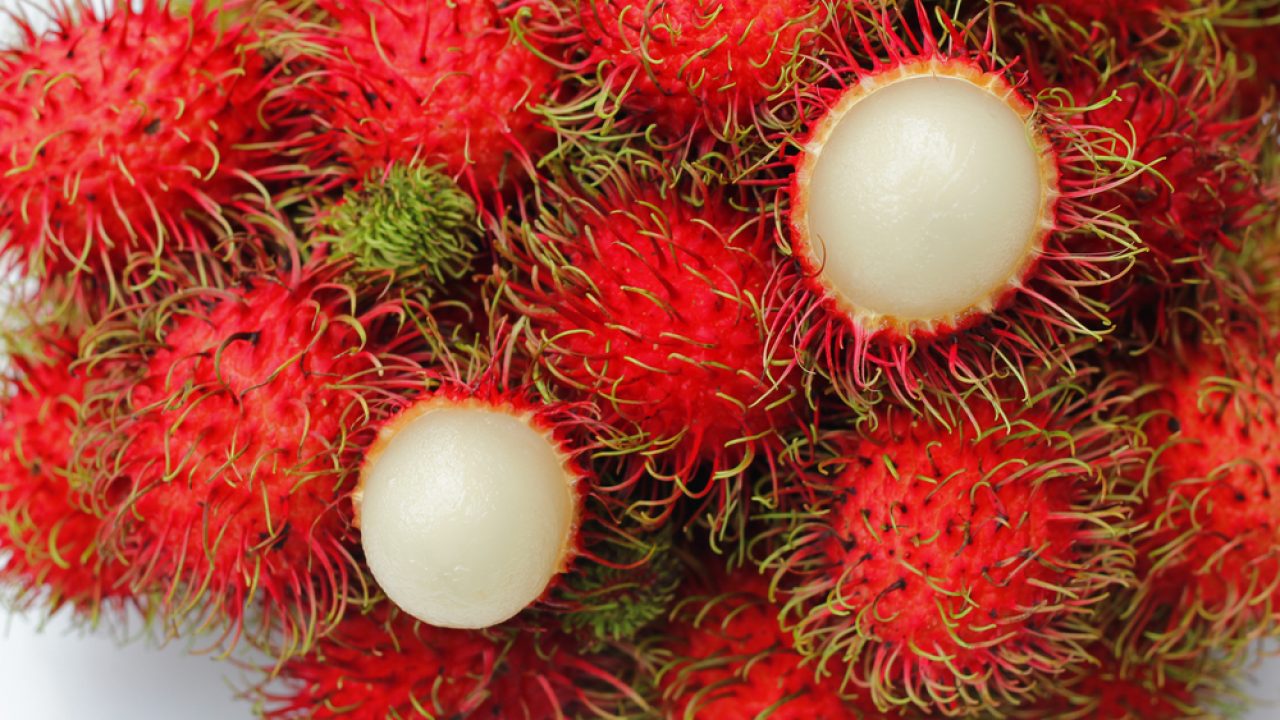 Rambutan: The ability to improve sperm quality, help lose weight and prevent heart disease of 