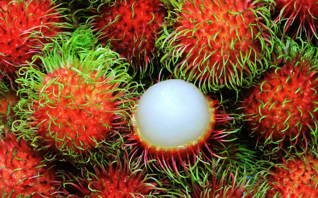 Rambutan: The ability to improve sperm quality, help lose weight and prevent heart disease of 