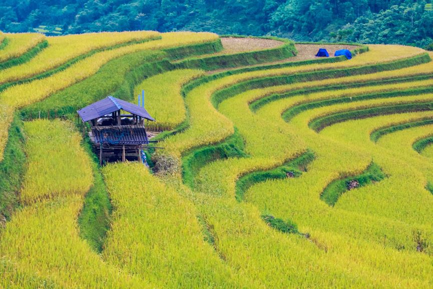 Về Hà Giang, nhớ thưởng thức đặc sản thịt chuột La Chí khiến bao người khóc thét - Ảnh 3.