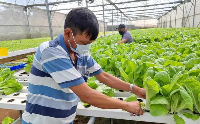 Nông sản Việt tăng chất lượng, giữ giá để chinh phục thị trường trong nước - Ảnh 4.