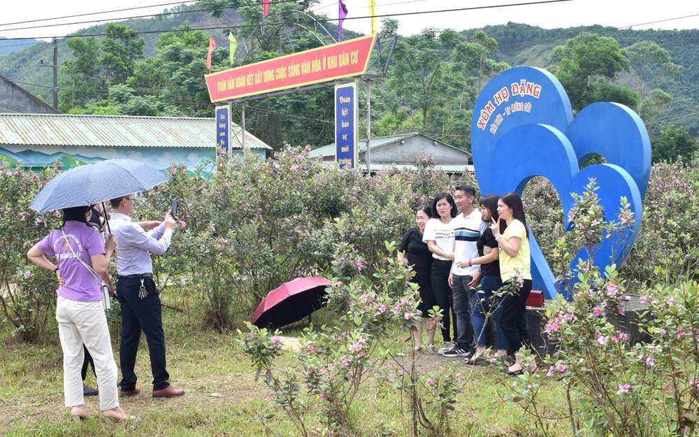 Cả làng này ở Móng Cái của Quảng Ninh trước quen quen, nay lạ lắm khiến dân tình kéo đến xem điều gì?