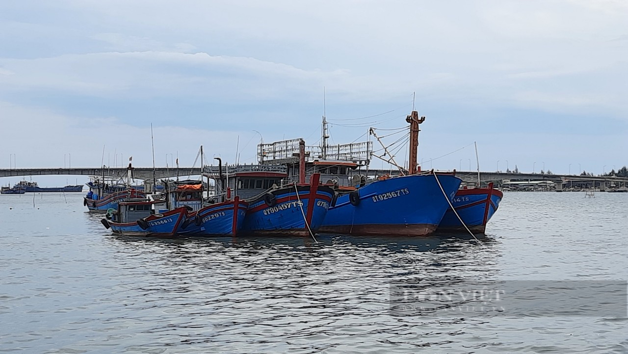 Xăng dầu tăng giá, tàu cá nằm bờ: Càng làm càng lỗ - Ảnh 4.