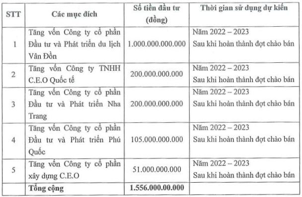 CEO chuẩn bị chào bán hơn 257 triệu cổ phiếu, rót hơn 1.500 tỷ vào công ty con - Ảnh 1.