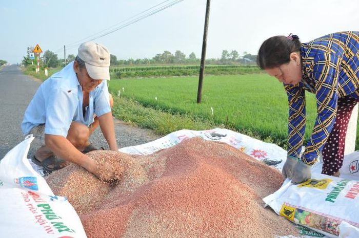 Giá phân bón hạ nhiệt: Doanh nghiệp lại lo tồn kho - Ảnh 1.