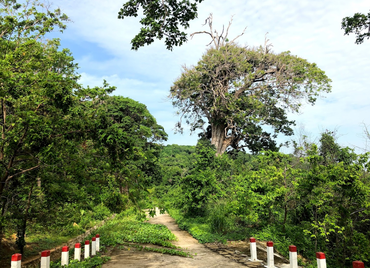 Hòn Khoai - &quot;Viên ngọc xanh&quot; nơi cực Nam Tổ quốc - Ảnh 2.