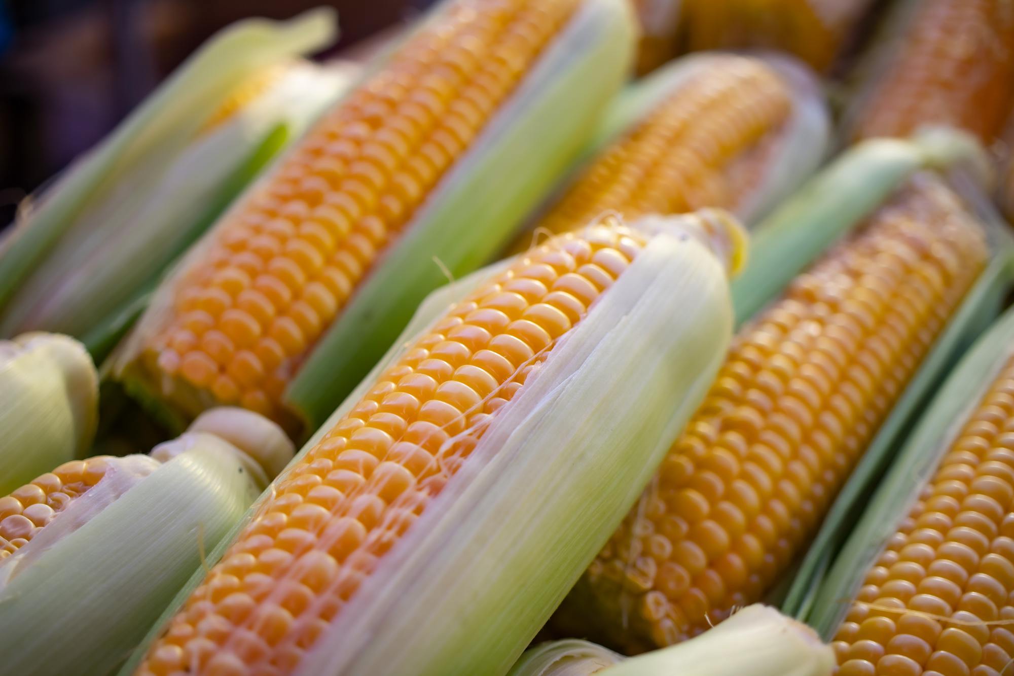 More than a snack, corn is a nutritious vegetable that is good for skin and eyes and has the ability to prevent cancer.  - Photo 1.