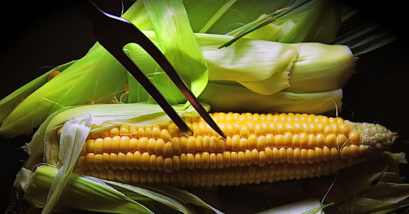 10 benefits of corn that you didn’t expect