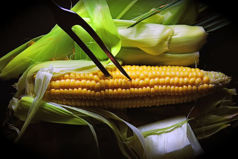 More than a snack, corn is a nutritious vegetable that is good for skin and eyes and has the ability to prevent cancer.  - Photo 2.