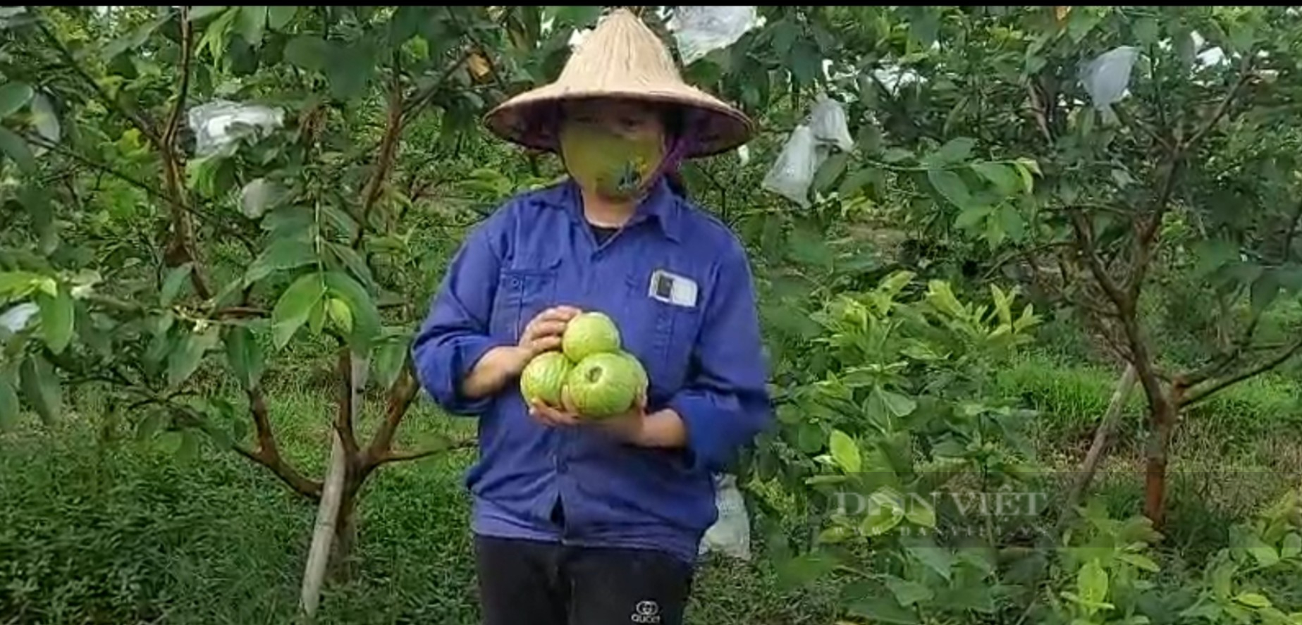 Về thăm cánh đồng Vua để xem nông dân ở đây trồng gì mà vừa kiếm được bội tiền vừa không lo ế - Ảnh 2.