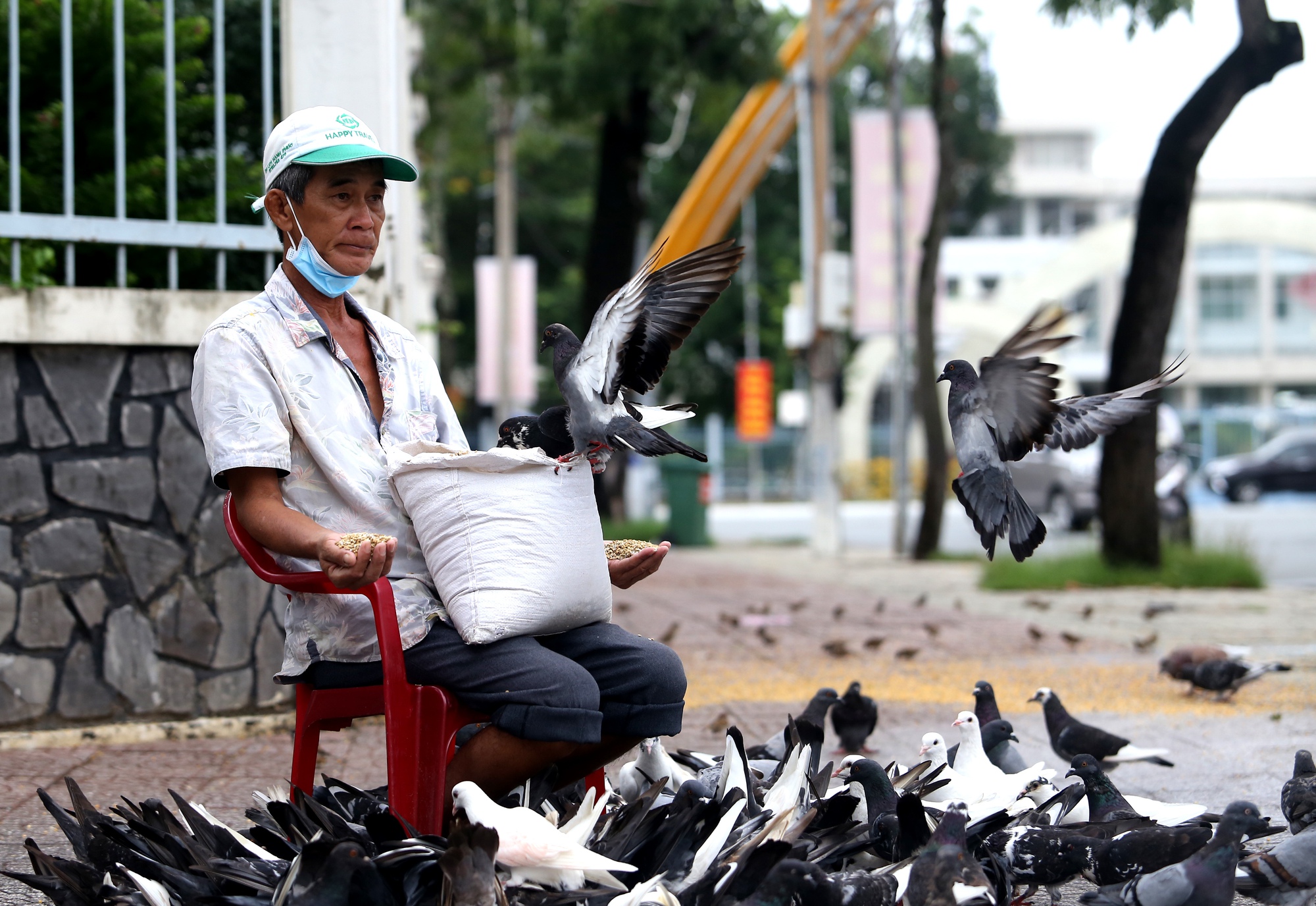 &quot;Ông bụt&quot; của đàn chim trời - Ảnh 3.