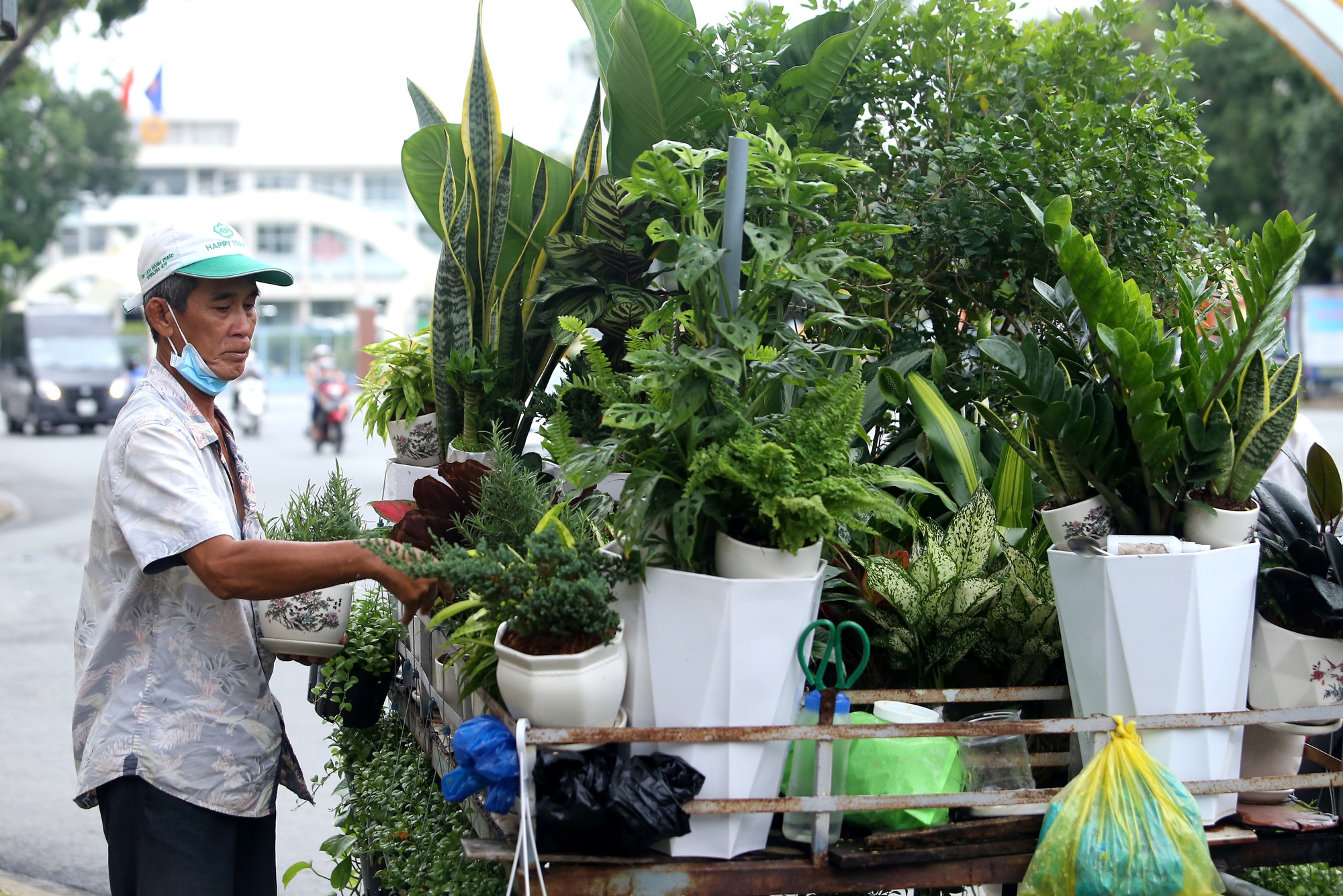 &quot;Ông bụt&quot; của đàn chim trời - Ảnh 2.