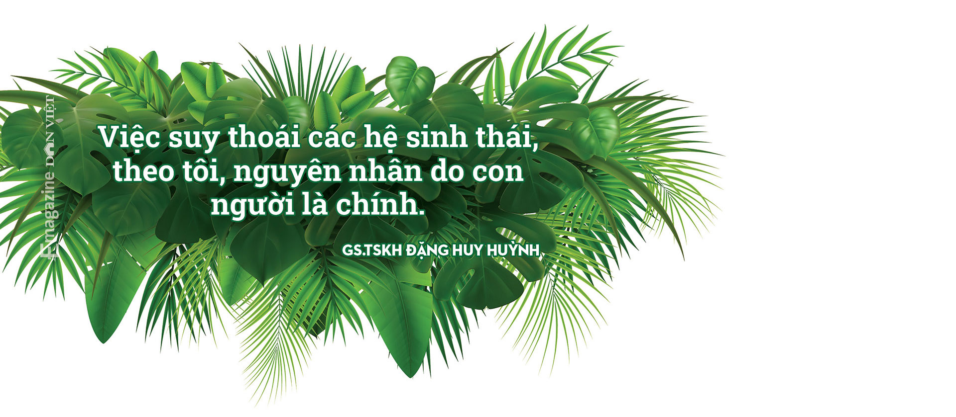 GS.TSKH Đặng Huy Huỳnh: “Những khu rừng nguyên sinh chỉ còn trong ký ức…”  - Ảnh 8.