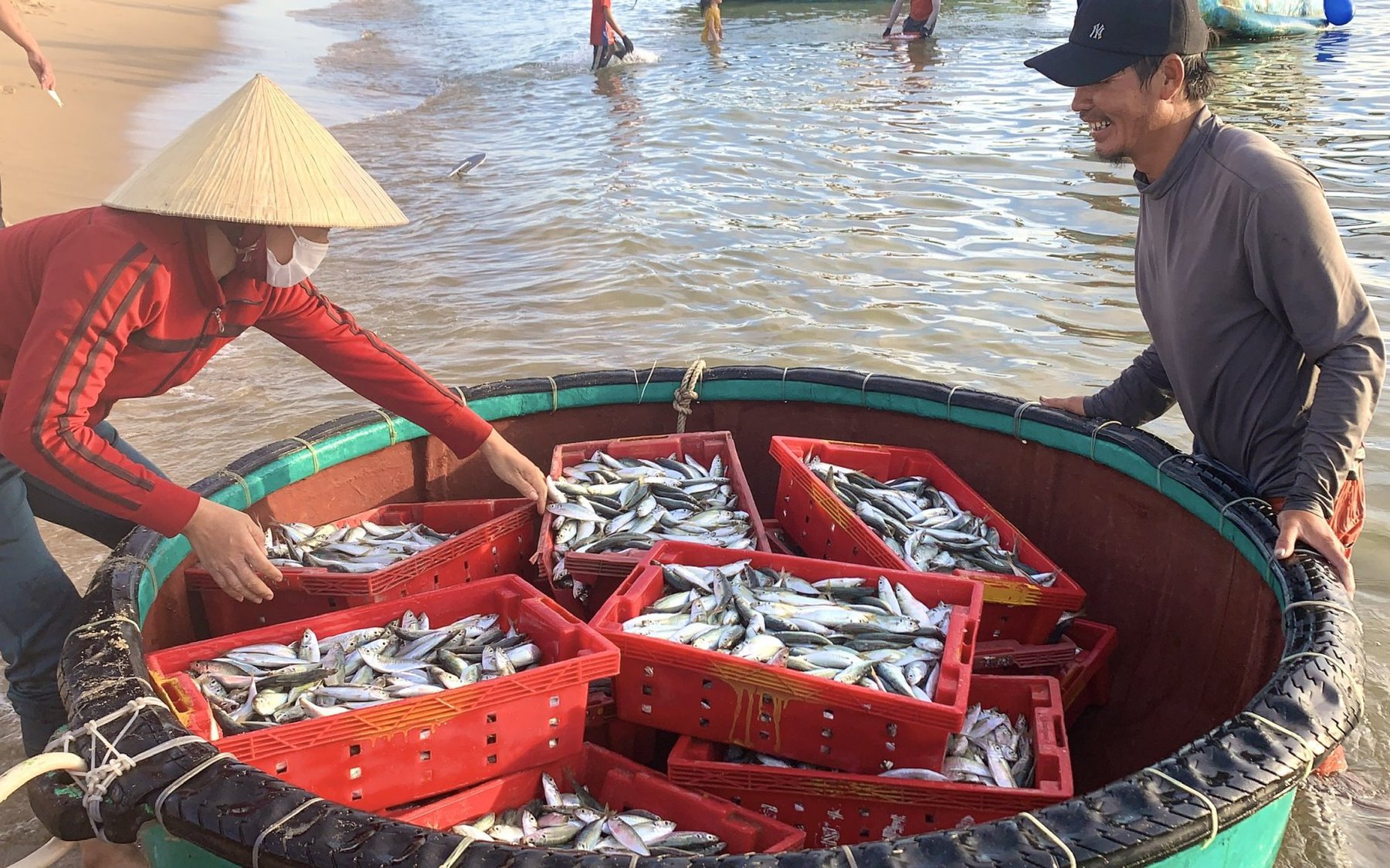 Ngư dân Quảng Bình cứ giong thuyền ra biển là bắt về hàng tấn cá gì mà tàu nào cũng trúng đậm?